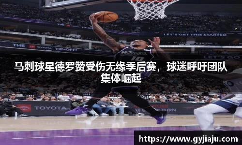 球速体育平台登录入口