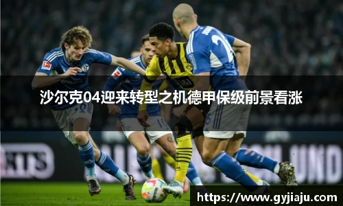 球速体育平台登录入口