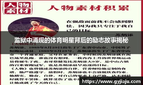 球速体育平台登录入口
