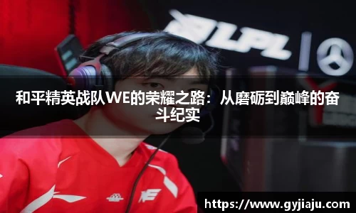 球速体育平台登录入口