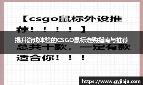 球速体育