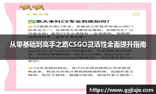 球速体育官方