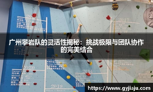 球速体育