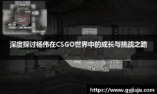 球速体育welcome