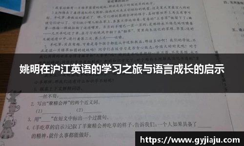球速体育