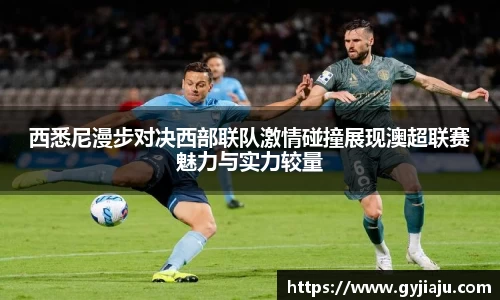 球速体育平台登录入口