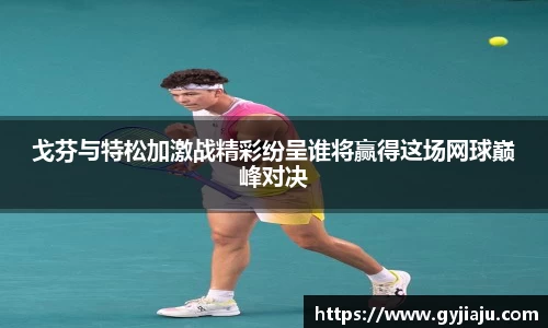 球速体育